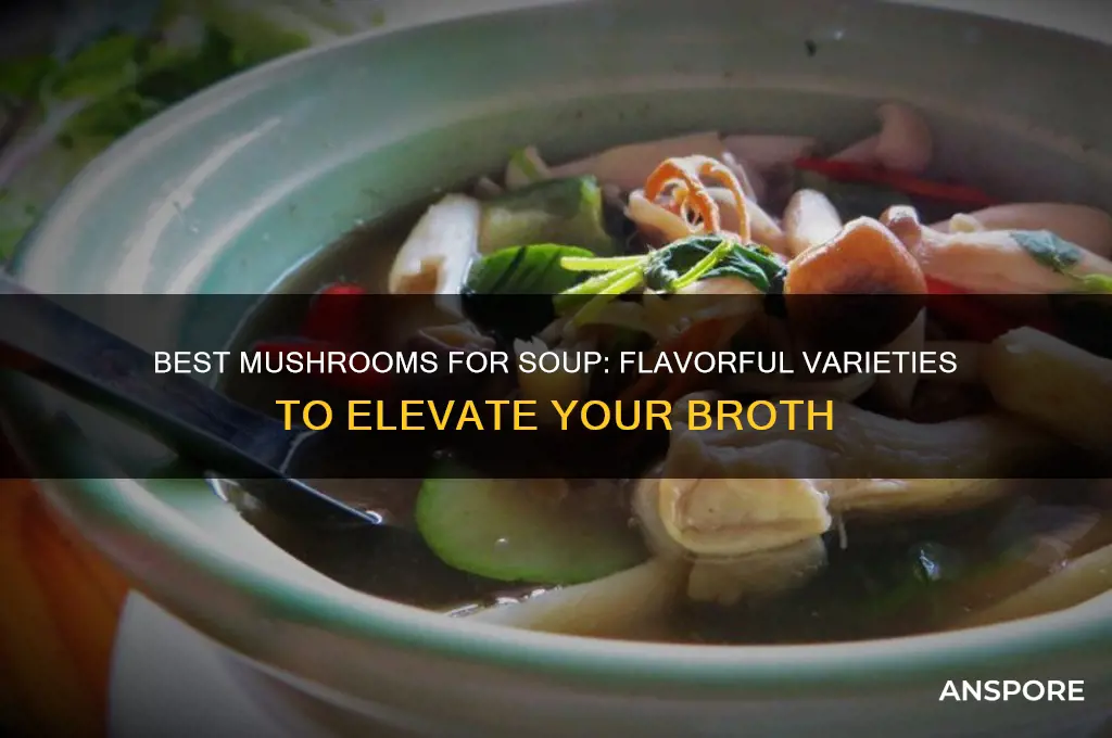 which mushrooms are good for soup