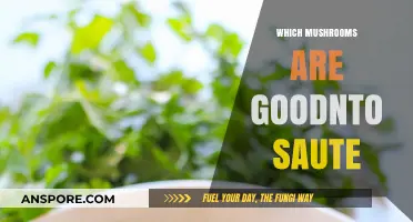 Best Mushrooms for Sautéing: A Quick Guide
