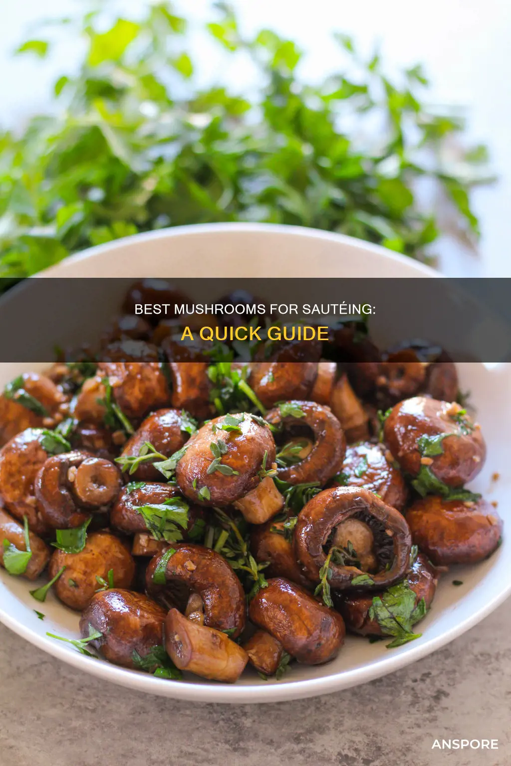 which mushrooms are goodnto saute