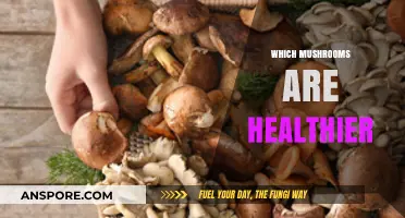 Mushroom Superfoods: Which Varieties Are Healthier?