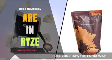 Ryze's Mushroom Hunt: Discovering the Fungi Within