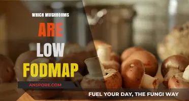 Smart Guide: Low-FODMAP Mushrooms for Your Diet