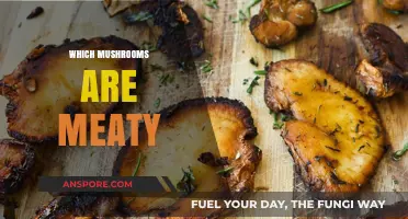 Meaty Mushrooms: The Ultimate Guide to Hearty Fungi