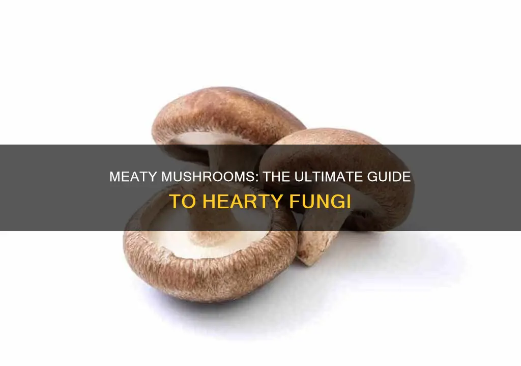 which mushrooms are meaty