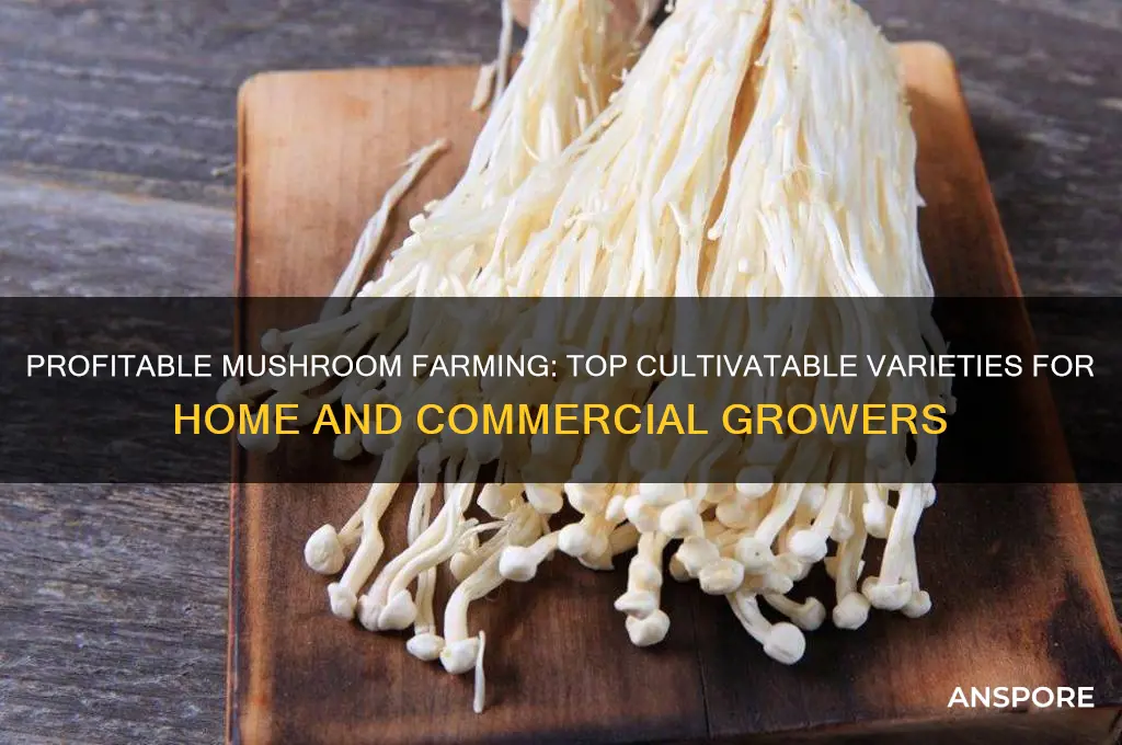 which mushrooms can be farmed