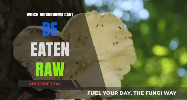 Avoid These Mushrooms: Raw Consumption Risks and Toxic Varieties