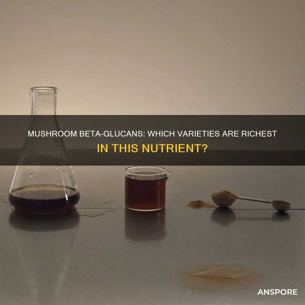 which mushrooms contain beta glucans