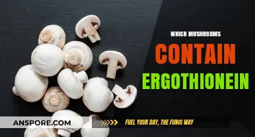 Mushrooms Rich in Ergothioneine: A Comprehensive Guide