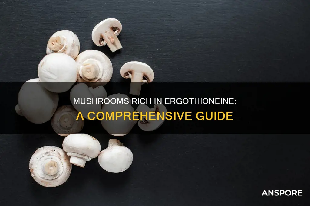 which mushrooms contain ergothioneine