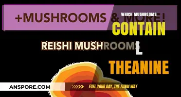 Mushroom Varieties with L-Theanine: A Comprehensive Guide