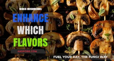 Mushrooms: Enhancing Flavors and Creating Culinary Magic