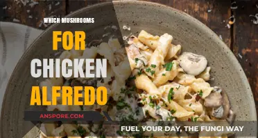 Best Mushrooms to Elevate Chicken Alfredo