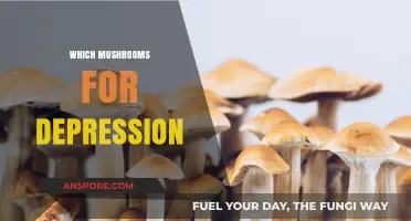 Mushroom Magic: Natural Depression Treatment
