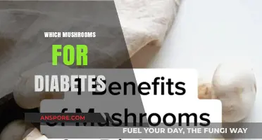 Mushroom Varieties: Diabetes and Health