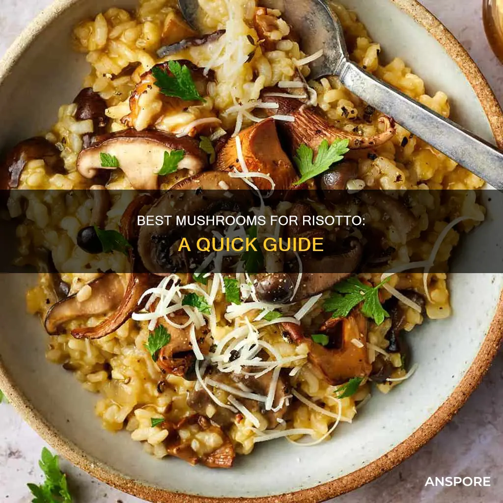 which mushrooms for mushroom risotto