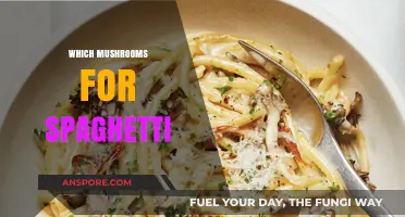 Mushroom Magic: Picking the Best for Spaghetti