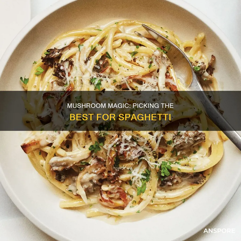which mushrooms for spaghetti