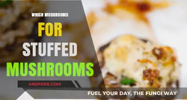 Best Mushrooms for Stuffing: Big, Meaty, and Tasty!
