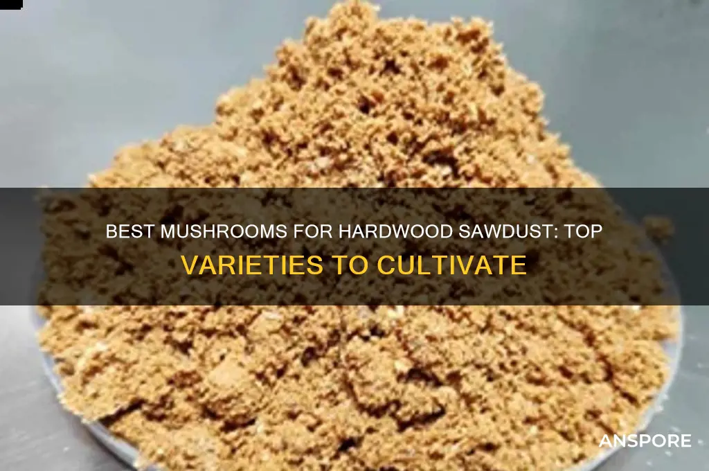which mushrooms grow best on hardwood sawdust