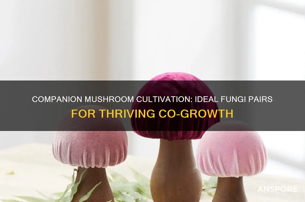 which mushrooms grow well together