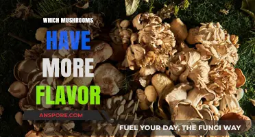 Mushroom Magic: Unlocking the Secrets of Flavorful Fungi