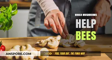Mushrooms That Save Bees