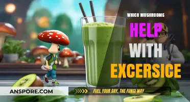 Magic Mushrooms: Enhancing Your Exercise Routine