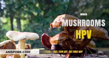 Mushroom Power: HPV's Natural Foe