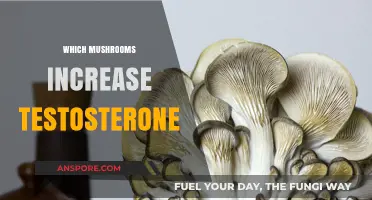 Mushroom Power: Boosting Testosterone Naturally