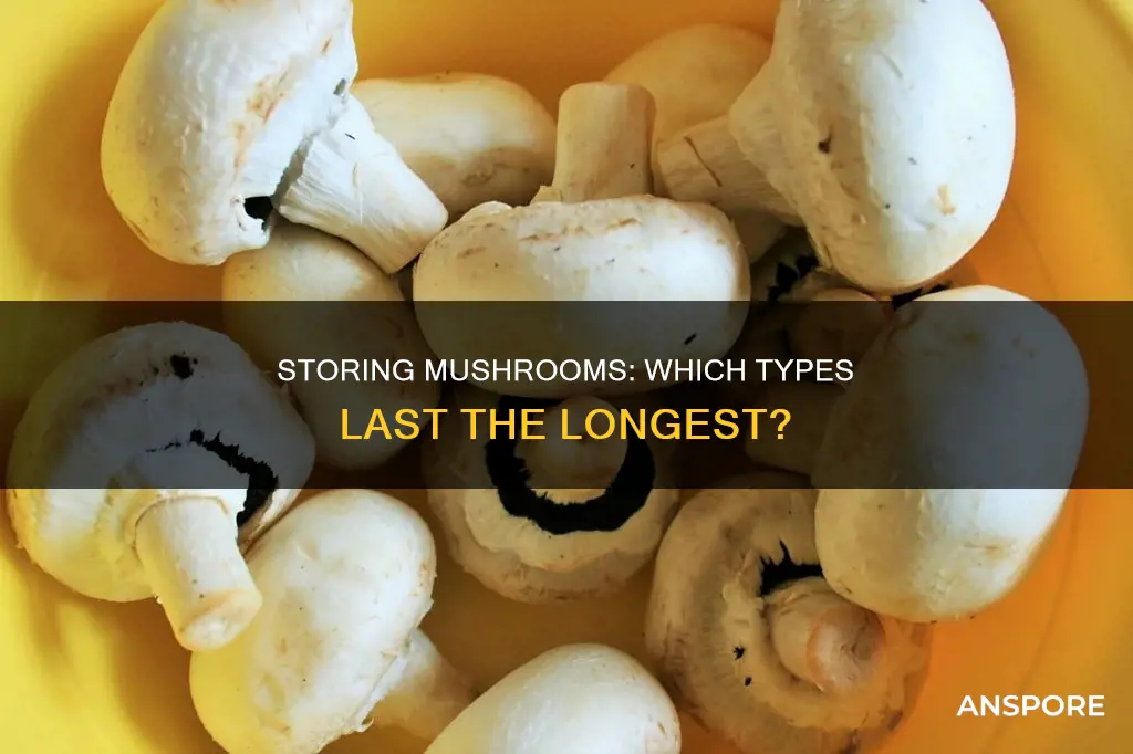 which mushrooms last the longest
