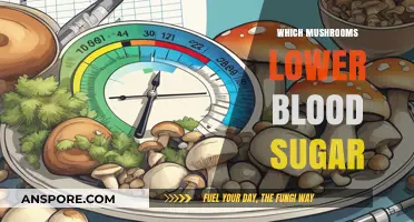Mushroom Power: Natural Blood Sugar Control