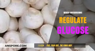 Mushroom Power: Regulating Glucose with Fungi