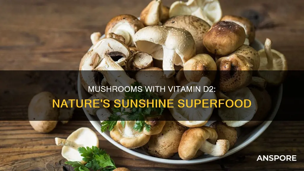 which mushrooms supply vitamin d2