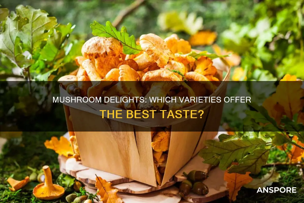 which mushrooms taste best