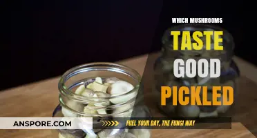 Delicious Pickled Mushrooms: Top Varieties for Tangy, Savory Flavor
