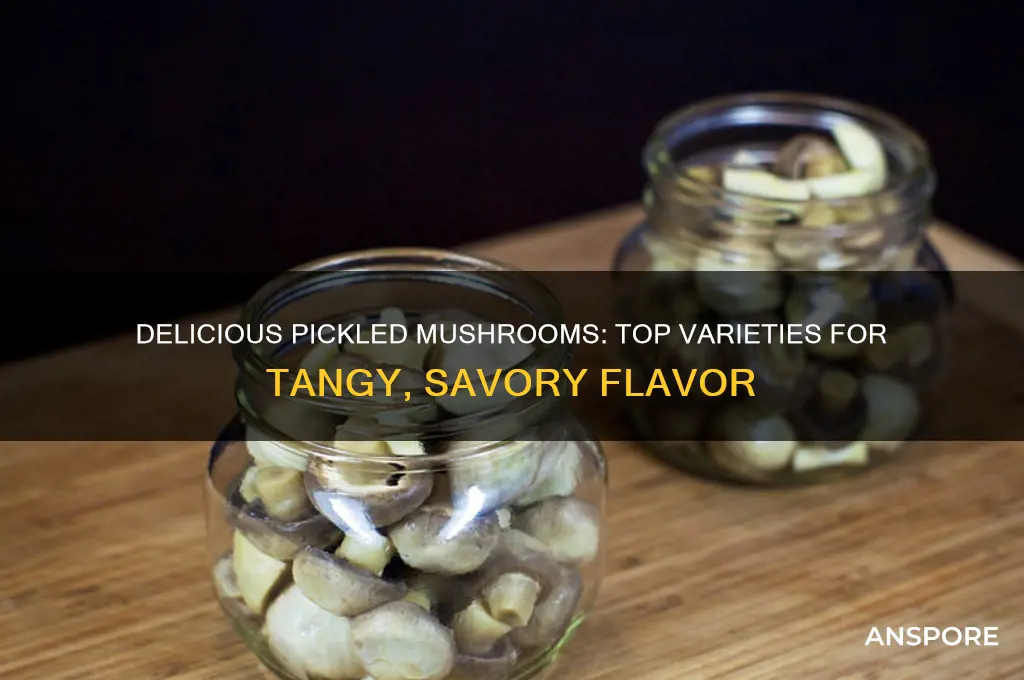 which mushrooms taste good pickled