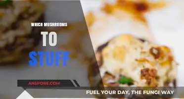 Best Mushrooms for Stuffing: Picking the Perfect Variety