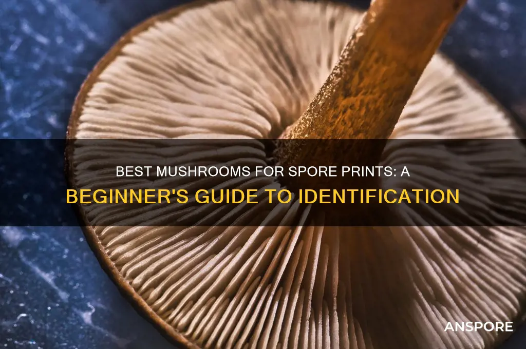 which mushrooms to use for spore prints
