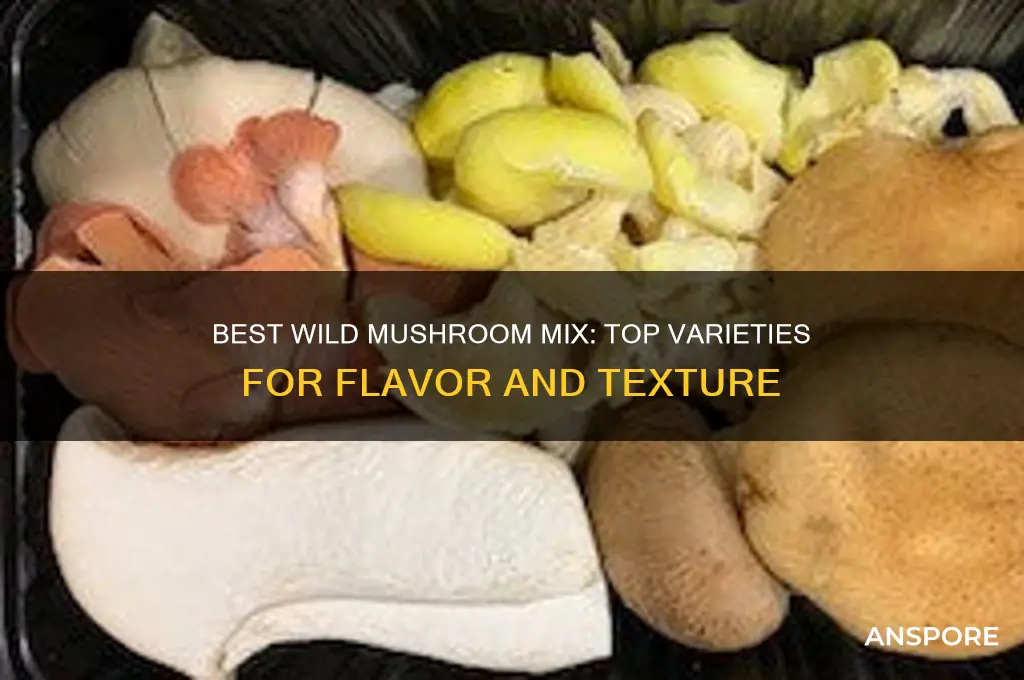 which mushrooms to use for wild mushroom mix