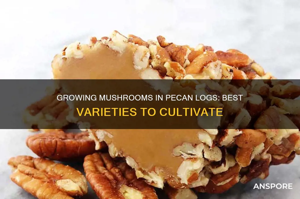 which mushrooms will grow in pecan logs