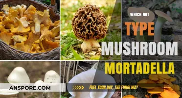 Mushroom Mortadella: The Ultimate Guide to Safe Eating