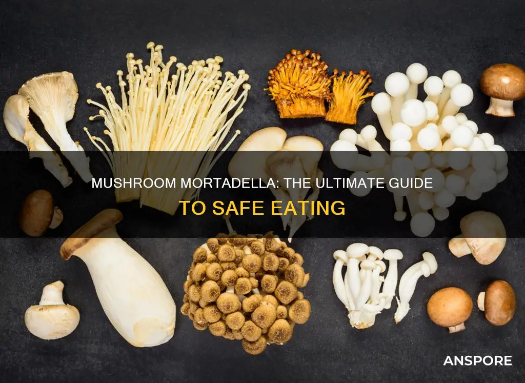 which not type mushroom mortadella