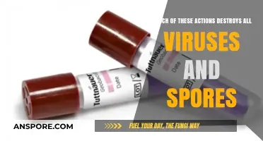 Effective Methods to Eradicate All Viruses and Spores Permanently