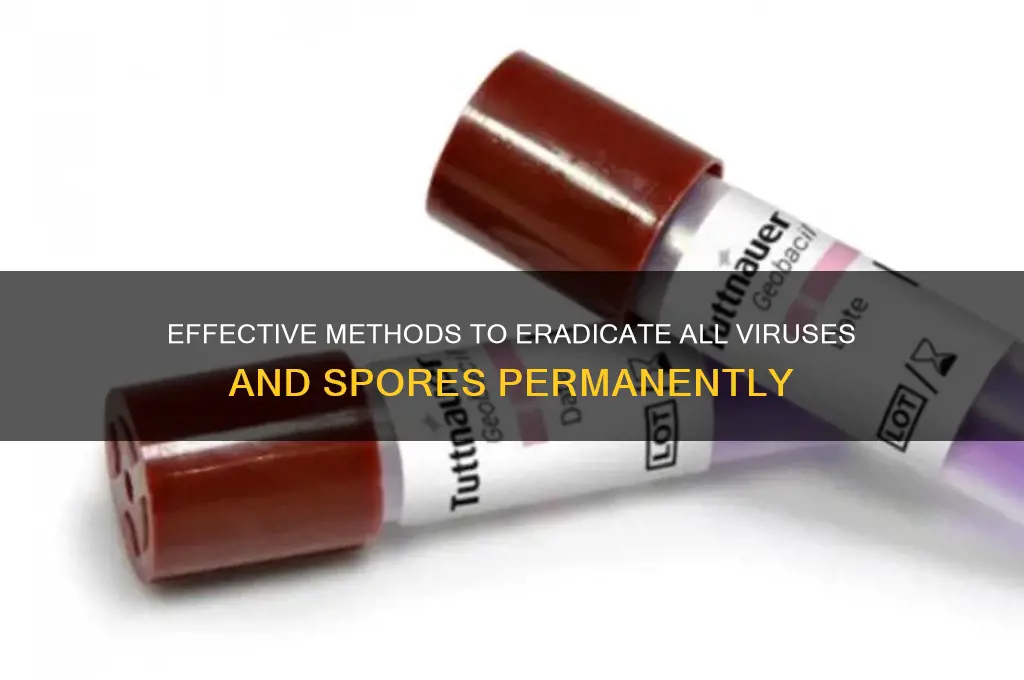 which of these actions destroys all viruses and spores