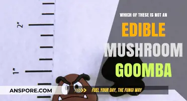 Can You Spot the Imposter? Goomba vs. Edible Mushrooms