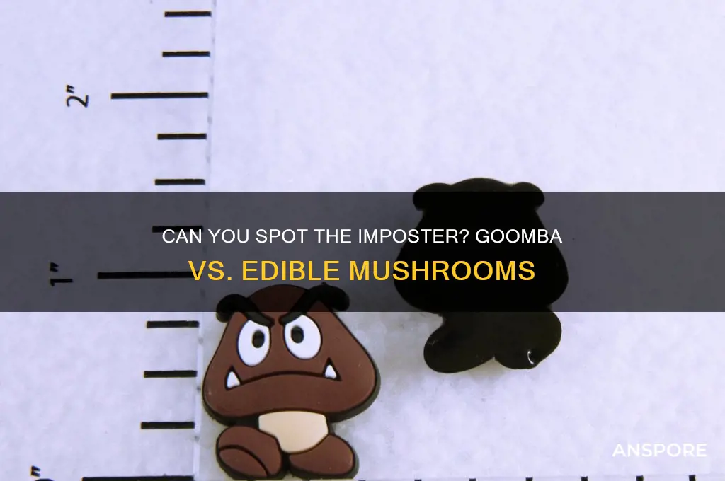 which of these is not an edible mushroom goomba