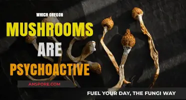 Oregon's Guide to Psychoactive Mushrooms
