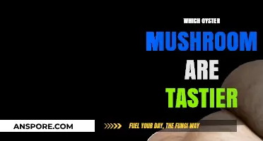 The Oyster Mushroom Taste Test