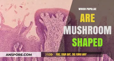 Mushroom-Shaped Papillae: What Are They?
