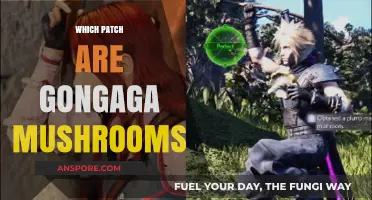 Gongaga Mushroom Habitat: Patch Guide